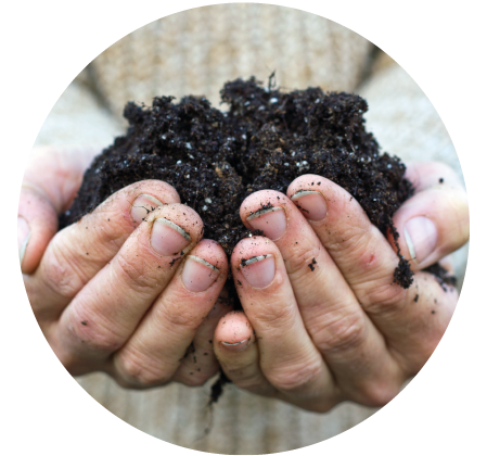 Qualitätskompost von Floratop