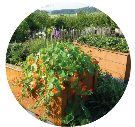 Premium Pflanzerde von Floratop